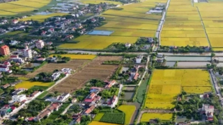 TP Hồ Chí Minh cho phép xây dựng tạm công trình phục vụ sản xuất trên đất nông nghiệp