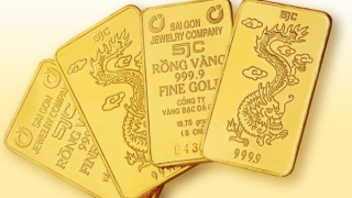 Cán bộ ngân hàng đánh cắp 246 lượng vàng SJC mang bán được 8,8 tỷ đồng