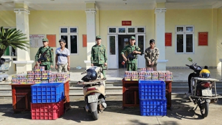 Rạng sáng, rủ nhau thồ 1,5 tạ pháo qua biên giới