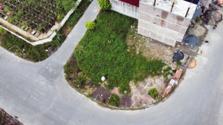 Để thị trường bất động sản bớt “ngáo” giá