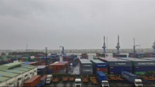 Tìm chủ của 2 lô hàng hóa nhập khẩu từ Hàn Quốc về Hải Phòng