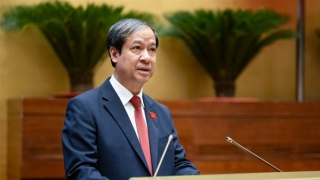 Giáo viên mầm non có thể nghỉ hưu trước 5 tuổi so với quy định mà không bị trừ phần trăm lương