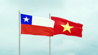 Nâng tầm hợp tác giữa Việt Nam và Chile