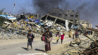 Báo động đỏ về số lượng phụ nữ và trẻ em thiệt mạng tại Gaza