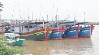 Phú Yên quyết liệt xử lý tàu cá “ba không” trước ngày 20/11