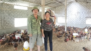 Tấm gương làm giàu từ nguồn vốn vay ưu đãi