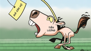 Phỏng vấn cánh cửa