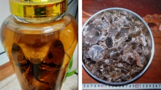 Làm rõ hành vi phạm pháp của nam thanh niên từ… bình rượu rắn