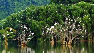 Công bố Quy hoạch bảo vệ môi trường quốc gia 2021 - 2030