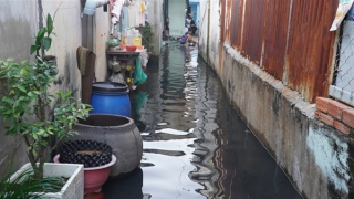Nhiều khu vực tại TP Hồ Chí Minh bị ảnh hưởng triều cường giữa tháng 11