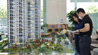 Lý do khiến cuộc đua săn nhà, đất trở nên khốc liệt