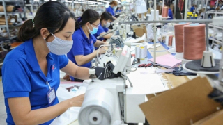 Giải pháp nào để thúc đẩy xuất khẩu hàng chính ngạch sang châu Âu?