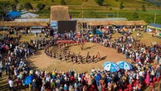 Trên đỉnh núi hoa vàng