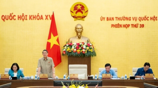 Bổ sung Luật Thuế thu nhập cá nhân và Luật Xử lý vi phạm hành chính vào "Luật sửa 7 luật"