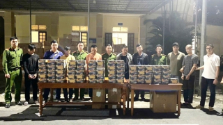 Triệt xóa đường dây buôn bán, vận chuyển trên  2,2 tấn pháo