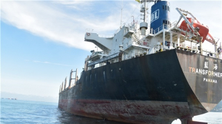 Khởi tố vụ án tàu hàng đâm tàu cá làm 14 thuyền viên rơi xuống biển