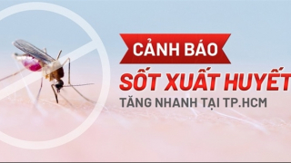 TP Hồ Chí Minh số ca mắc sốt xuất huyết liên tục tăng, 1 người tử vong
