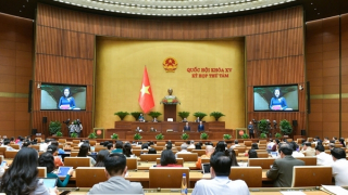 Thất thu hàng nghìn tỷ đồng từ quảng cáo trực tuyến, khó xử lý vi phạm