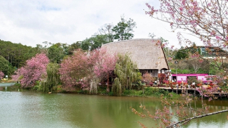 Giữ lại cho Măng Đen