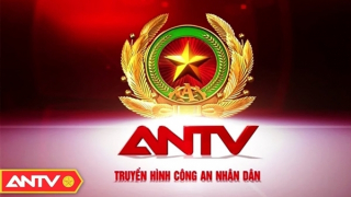 Lịch phát sóng ANTV ngày 26/11/2024