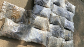 Phát hiện 17 túi ni lông nghi chứa cần sa trôi dạt vào bờ biển Quảng Ngãi