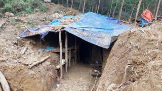 Xử lý nghiêm vụ khai thác vàng trái phép tại khu vực núi Đá Ngựa