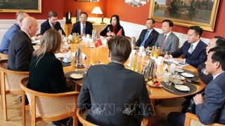 Việt Nam - Đan Mạch tăng cường hợp tác vì một tương lai xanh bền vững