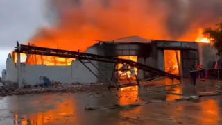 Cháy công ty chế biến thuỷ sản gây thiệt hại trăm tỷ đồng