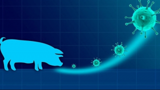 Bộ Y tế yêu cầu không để lây lan dịch cúm A/H1pdm tại Bình Định