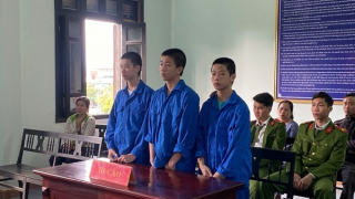 Tuyên án nhóm thiếu niên “học nghề” bằng cướp bóc