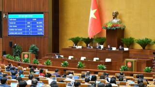 Áp dụng xử lý vật chứng, tài sản từ khi giải quyết nguồn tin về tội phạm là phù hợp