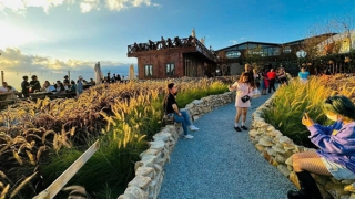 Nhiều điểm tham quan ở Đà Lạt miễn phí ngày khai mạc Festival hoa