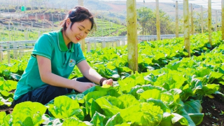 Nậm Pồ khởi sắc với những chính sách phát triển kinh tế vùng đồng bào dân tộc thiểu số và miền núi