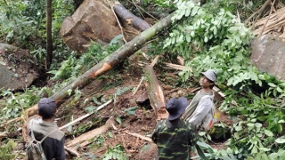 Thông tin thêm về vụ sạt lở đá tại Quảng Nam