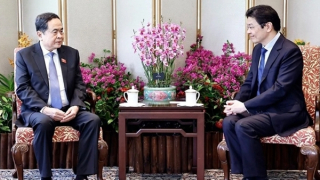 Thêm xung lực phát triển quan hệ Việt Nam-Singapore trong thời gian tới