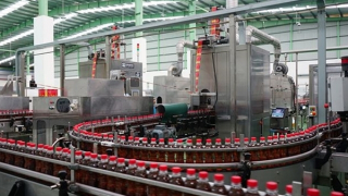 Vi phạm nhiều lần, một công ty bị phạt 1,5 tỷ đồng