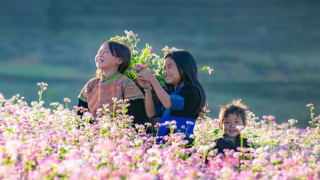 Tháng mười hai mê mải miền cao nguyên đá