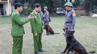 “Binh chủng đặc biệt” -  65 năm xây dựng, chiến đấu và trưởng thành