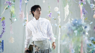 Nhạc Việt được mùa album