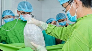 Hành trình tiếp nối sự sống