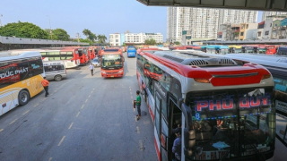 Sắp xếp luồng tuyến vận tải: Tránh thí điểm kiểu "trăm hoa đua nở"