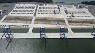 Chuyển Công an điều tra vụ phá rừng phòng hộ để xây dựng cảng biển