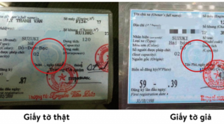 Làm giả đăng ký xe ô tô đã thế chấp ngân hàng để vay hơn nửa tỷ đồng