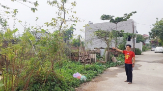 Xã Hải Bối, Đông Anh, Hà Nội: Cần đảm bảo quyền lợi cho người dân Đồng Bượm