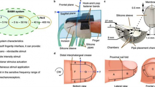 Công nghệ dành cho… ngón tay