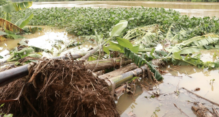 Tìm giải pháp khắc phục sạt lở bờ sông Vĩnh Định mà Báo CAND đã phản ánh