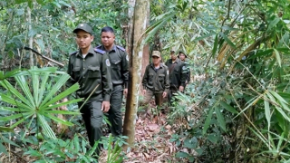 Tăng cường tuần tra, bảo vệ rừng dịp cuối năm