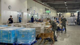 Thu ngân sách từ xử lý vi phạm tăng 242%