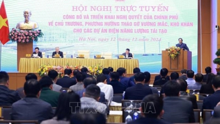 Thủ tướng yêu cầu hoàn thành tháo gỡ khó khăn cho dự án điện năng lượng tái tạo trong tháng 1/2025