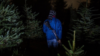 Cuộc chiến ngăn Mafia  tận diệt thông Noel